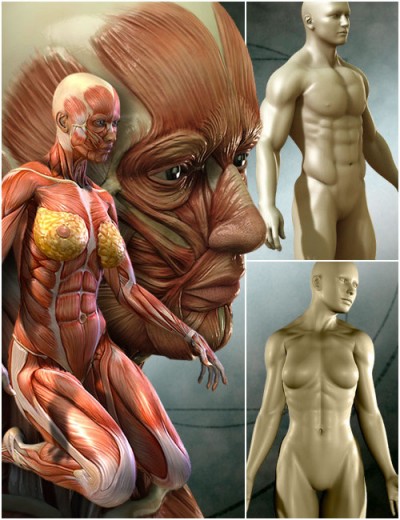 MedicalMuscles